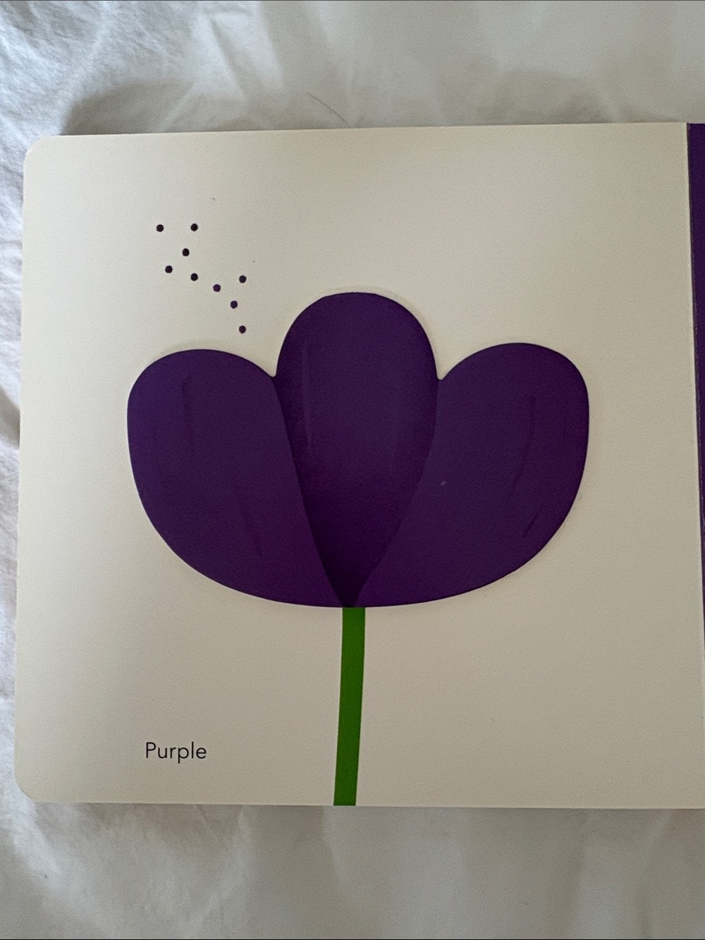 Colors Touch & Think Learning Board Book - Picture 5 of 7